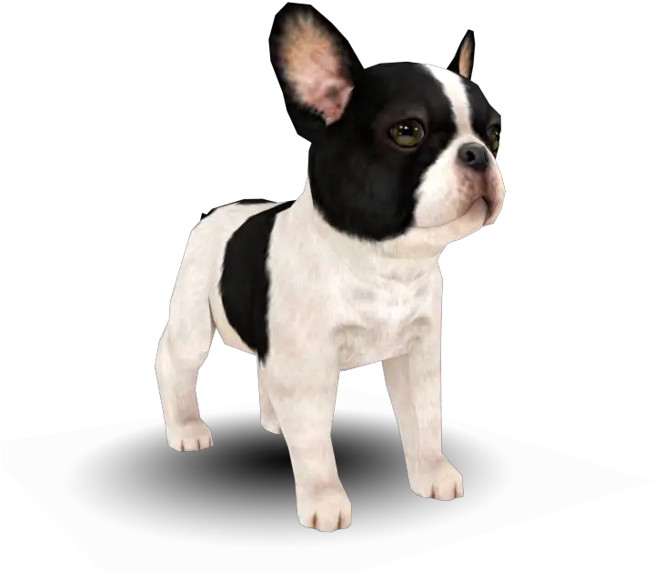  French Bulldog Transparent Png Image Nintendogs Bulldog French Bulldog Png