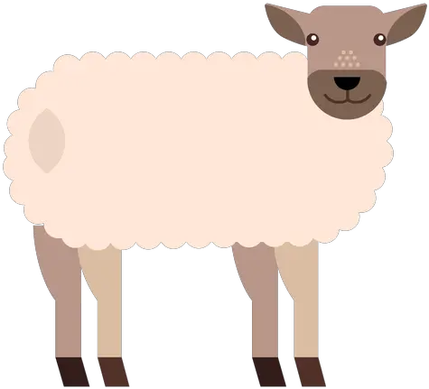  Sheep Lamb Wool Hoof Tail Flat Rounded Geometric Transparent Png Icon