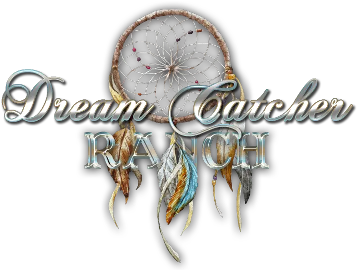  Dream Catcher Ranch Decorative Png Dream Catcher Logo