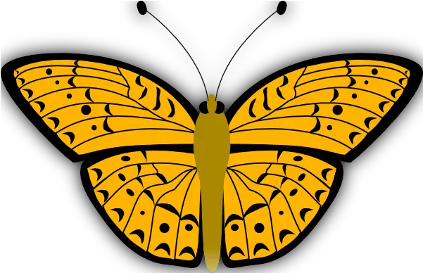  Clip Art Monarch Butterfly Clipart Best Draw A Yellow Butterfly Wing And Color Png Monarch Icon