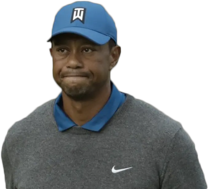  Tiger Woods Png Umbrella Nike Tiger Woods Png