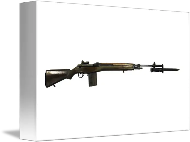  M14 Rifle Developed From The M1 Garand Firearm Png M1 Garand Png