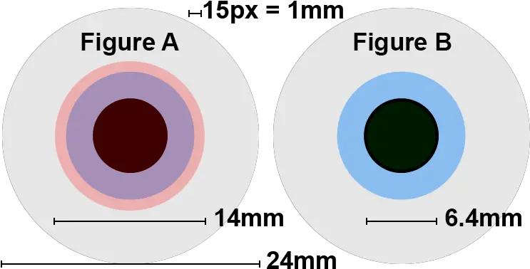  Filecomparison Of Exit Pupils For Astronomypng Wikimedia Human Eye Diameter Light Eyes Png