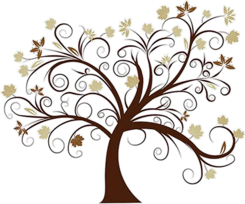  Family Tree Png Hd Beautiful Family Tree Designs Family Tree Png