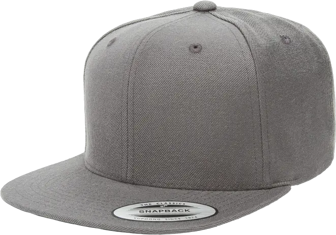  Flexfit Snapback Pro Boné Cinza Aba Reta Png Snapback Png