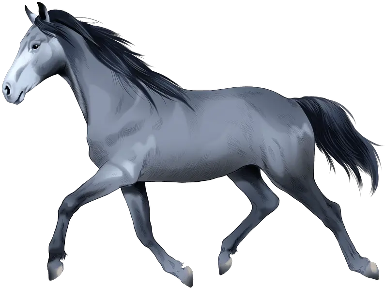  Holsteiner Horse Clipart Free Download Transparent Png Stallion Horse Transparent Png