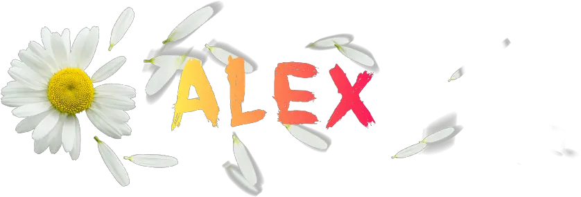  Real Editor Alex Flower Logo Camomile Png Yellow Flower Logo