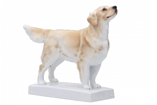  Meissen Single Figurine Golden Retriever Labrador Retriever Png Golden Retriever Transparent