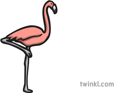  Flamingo Icon Illustration Twinkl Flamingo Twinkl Png Flamingo Clipart Png