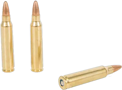  Non Standard Ammunition Gun Auction Other Ammo At Ammunition For Rifle Png Shotgun Shell Png