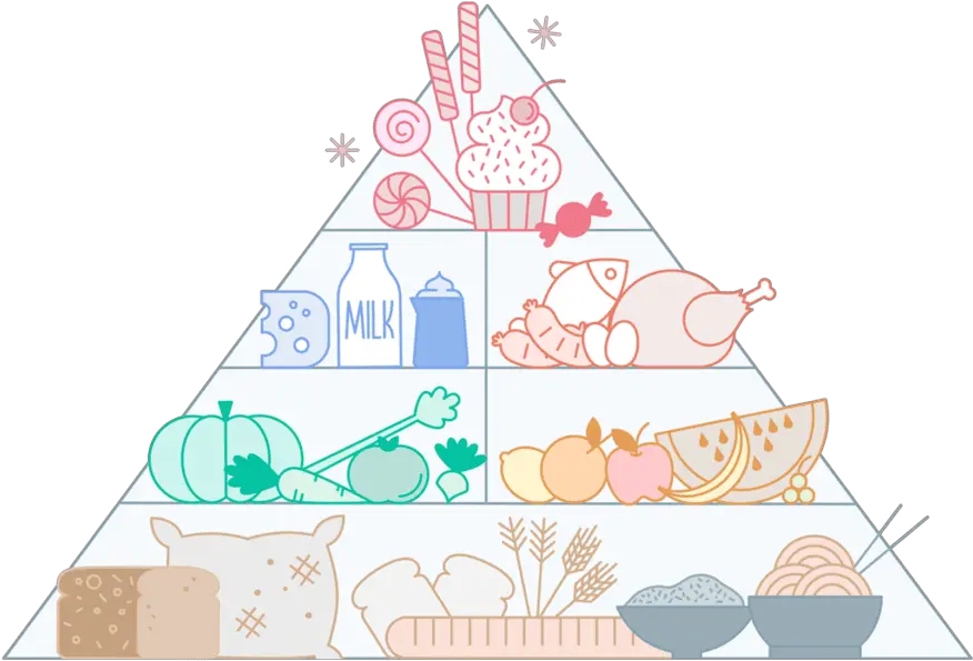  How Corporations Illustration Png Food Pyramid Png