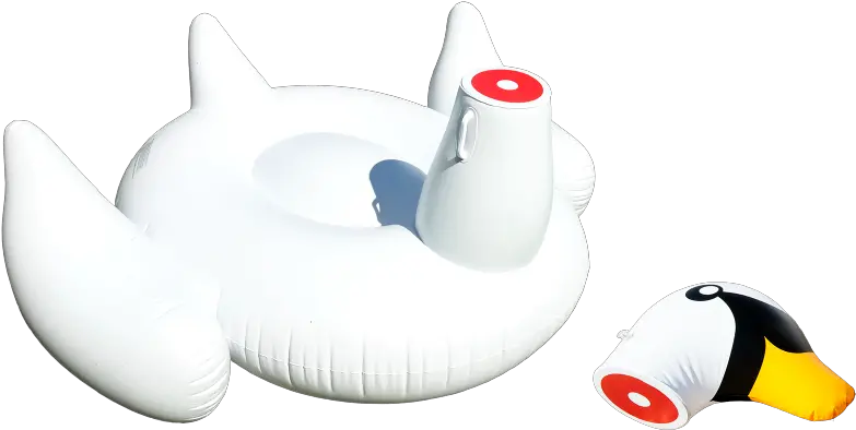  The Decapitated Swan Pool Float Now Exists Inflatable Png Pool Float Png