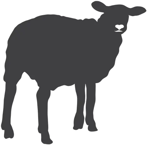  Sheep Lamb Wool Hoof Silhouette Sheep Silhouette Transparent Png Sheep Transparent