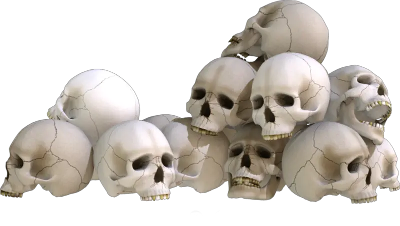  Skulls Png Skulls Png Skull Transparent Background