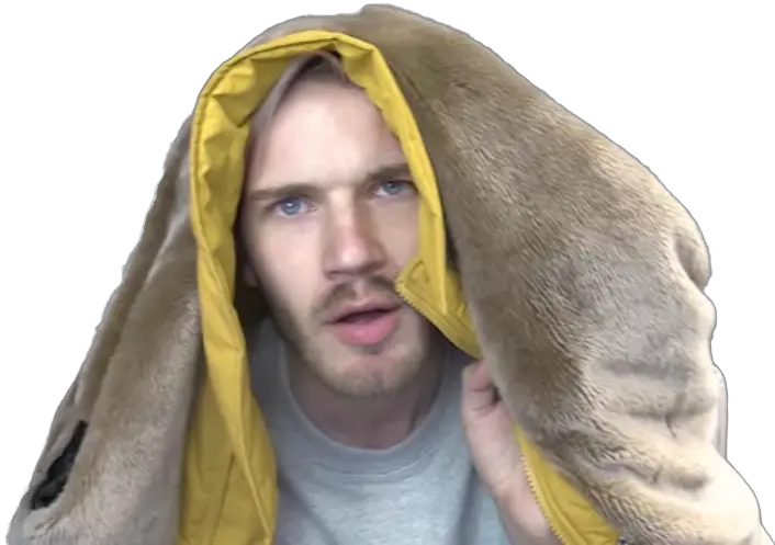  Pewdiepie Face Png View Samegoogleiqdbsaucenao Pewdiepieu0027s Bird Pewdiepie Png