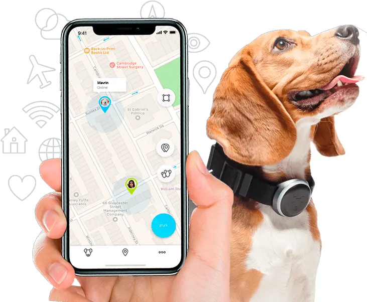  Hd With Mishiko Youre Always Aware Dog Fitness Tracker Png Gabe The Dog Png