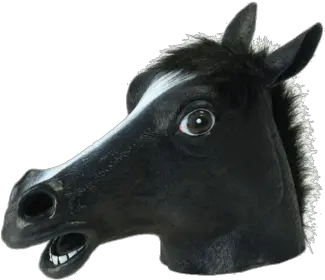  Masks Horse Head Mask Png Horse Mask Png