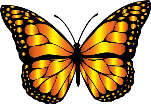  Download Flying Butterfly Drawing Butterfly Clipart Monarch Butterfly Png Butterfly Flying Png