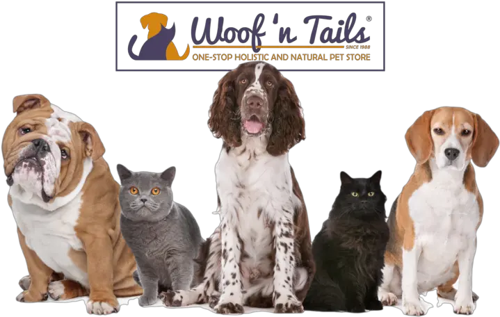  Woof N Tails Png Puppy Transparent Background