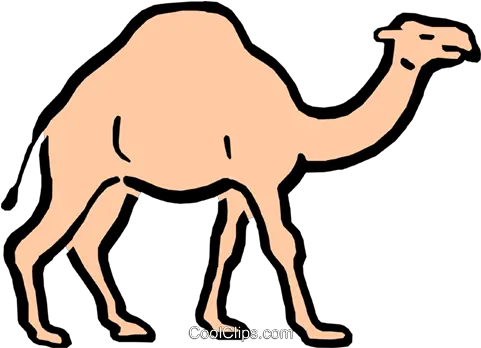  Cartoon Camel Royalty Free Vector Clip Art Illustration Clip Art Png Camel Transparent