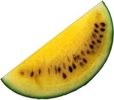  Download Watermelon Psd Yellow Watermelon Vector Png Png Yellow Watermelon Transparent Background Watermelon Transparent Background