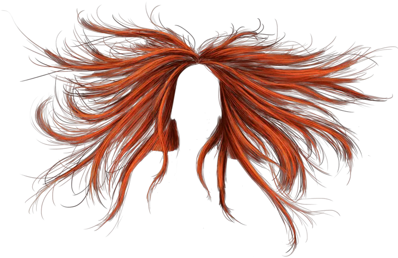  Hair Png Transparent Image Transparent Messy Hair Png Hair Png Transparent