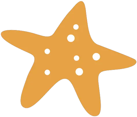  Sea Star Fish Sea Star Vector Png Sea Star Png