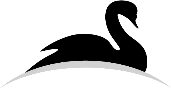  Home Werexpats Black Swan Png Swan Logo