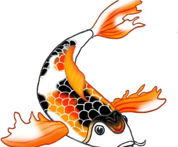  Koi Fish Clipart Draw In Color Koi Fish Clipart Png Fish Clipart Png