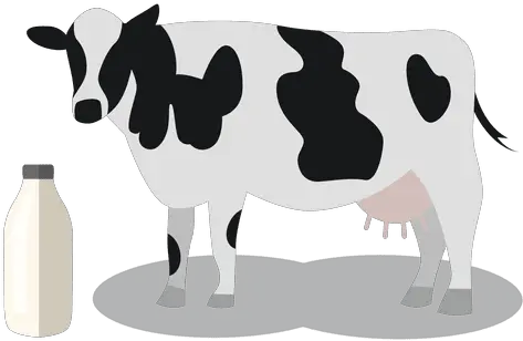  Cow Milk Animal Milk Cow Icon Png Cow Transparent