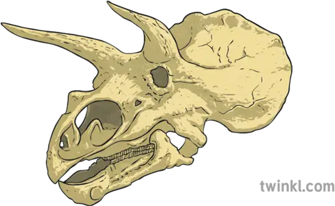  Triceratops Skull Dinosaur Bones Ar Twinkl Go Science Skull Png Skull And Bones Png