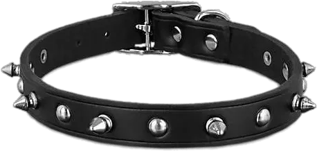  Spike Dog Collar Transparent Png Dog Leather Spiked Collars Collar Png