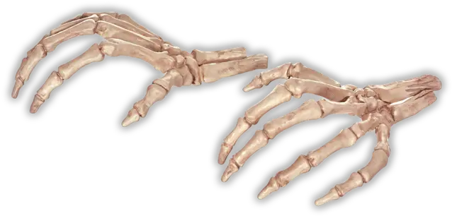  Bone Hands Png Picture Transparent Skeleton Hand Png Skeleton Hand Png