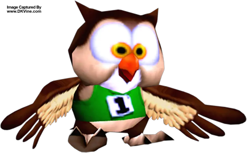  Remember The Diddy Kong Racing U Rumor This Is Too Strange Owl Donkey Kong 64 Png Donkey Kong Tropical Freeze Dk Icon