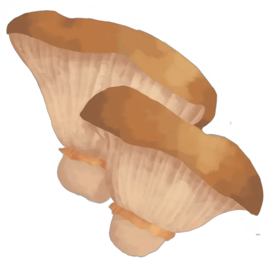  Artsy Gwimmie Gwimmiedwaws Twitter Medicinal Mushroom Png Super Smash Bros 4 Mushroom Icon