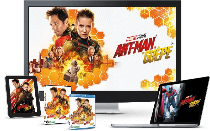  Ant Man Et La Guepe Logo Png Image Ant Man Et La Guêpe Dvd Blu Ray Antman Png