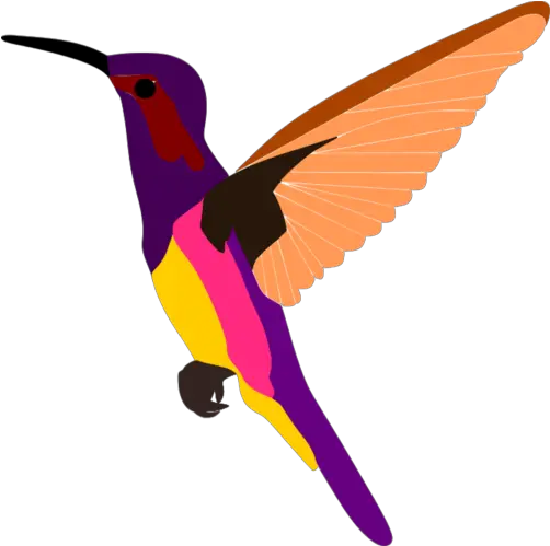  Oriole Png Images Download Transparent Image Bee Hummingbird Purple Parrot Icon