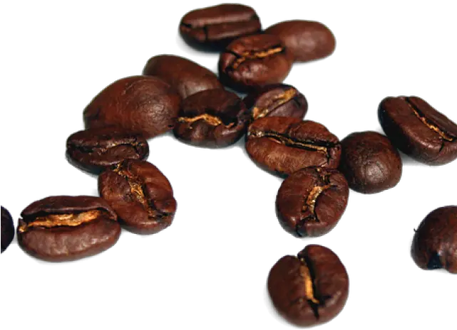  Download Coffee Beans Transparent Background Full Size Png High Resolution Coffee Beans Png Coffee Beans Transparent