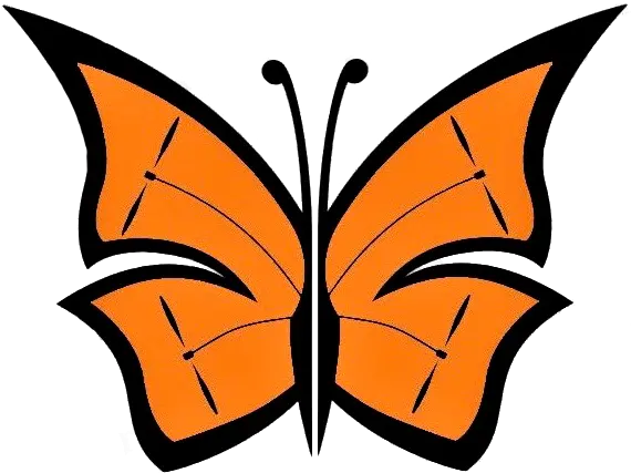  Home Inspection Services Monarch Drone Photography Butterfly Wings Png Colorful Butterfly Icon