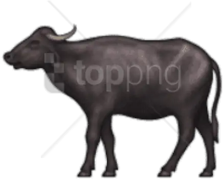  Water Emoji Png 3 Image Bull And Eyes Emoji Cow Emoji Png