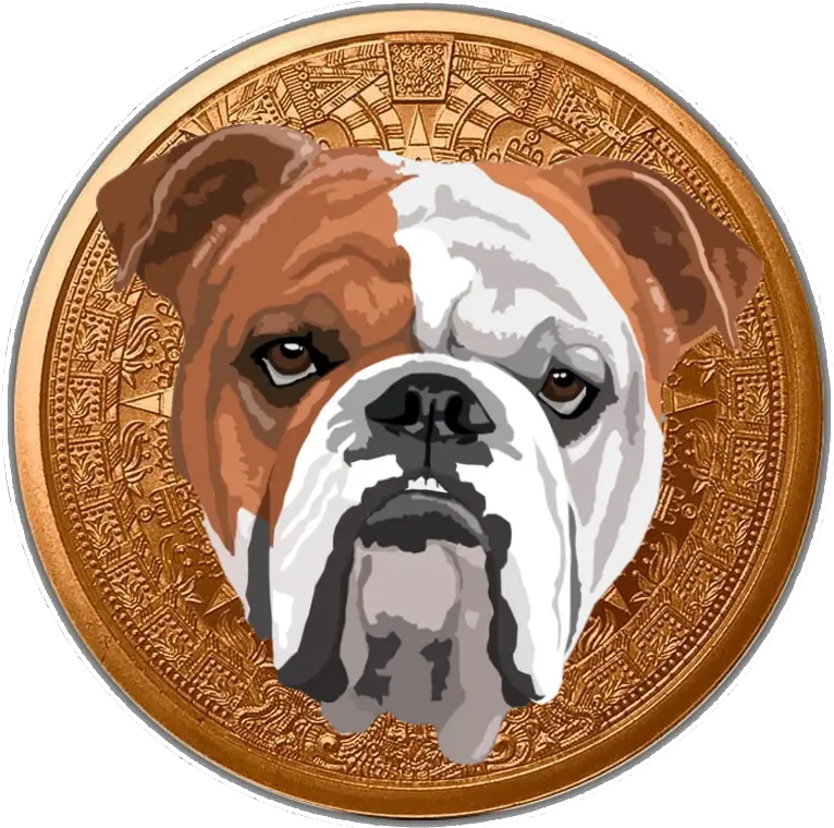  Bulldog Finance Token Bdog Coinhunt Olde English Bulldogge Png Bull Dog Icon