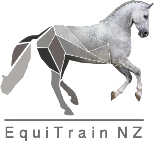  Story U2014 Equitrain Nz Animal Figure Png Horses Icon