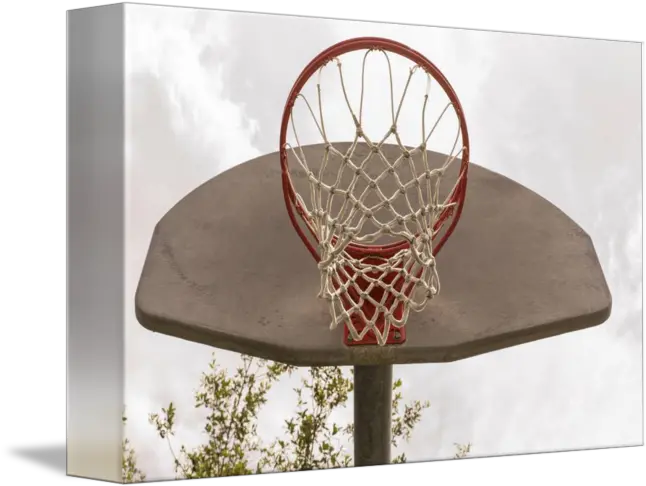  Basketball Hoop Outside Basketball Rim Png Basketball Backboard Png