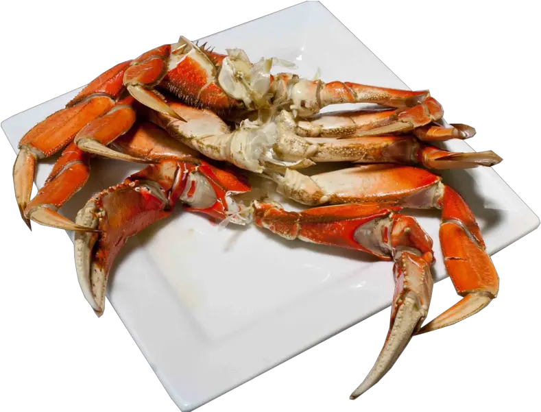  Crab Legs Dungeness Crab Png Crab Legs Png