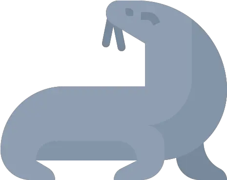  Sea Lion Free Animals Icons Walrus Png Lions Icon