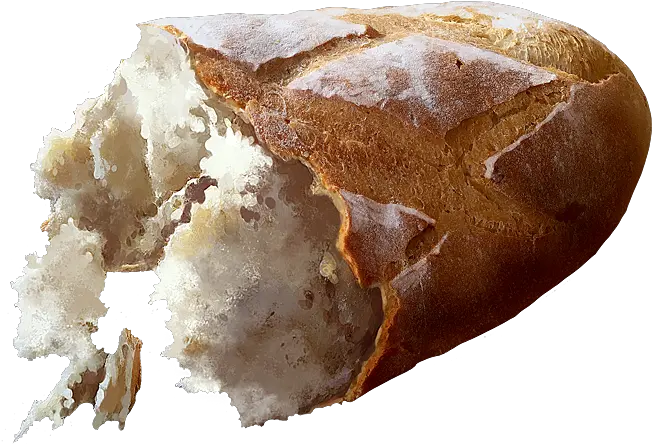  Bread Official Pathologic Wiki Snow Png Bread Png