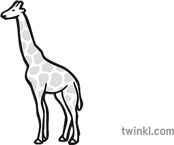  Giraffe Icon Black And White Black And White Giraffe Icon Png Giraffe Icon