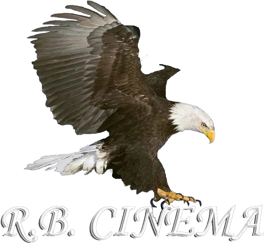  Rosario Brucato Italian Filmmaker Rb Cinema Eagle Sticker For Picsart Png Rosario Png