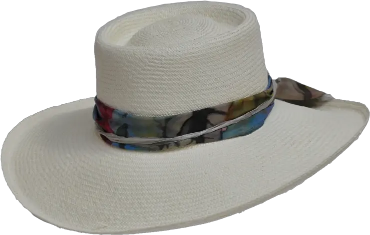  Straw Hat Png Fedora Straw Hat Png