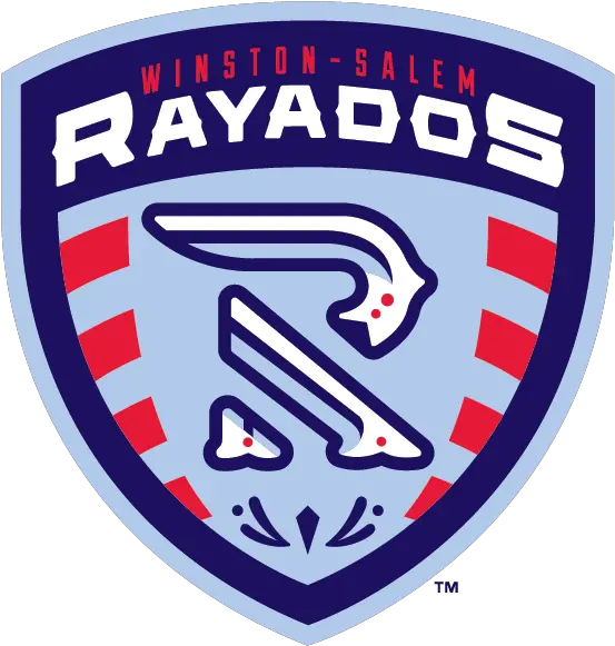  9 Best Baseball Team Logos And How To Make Your Own For Free Winston Salem Rayados Png Cool Youtube Logos